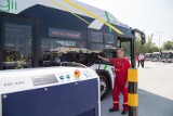 Miliard dolarów na horyzoncie. Jeden z koreańskich koncernów ma być zainteresowany budową w Toruniu fabryki autobusów elektrycznych