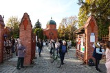 Jak znaleźć groby bliskich na Wszystkich Świętych? Skorzystaj z wyszukiwarki grobów na cmentarzach we Wrocławiu