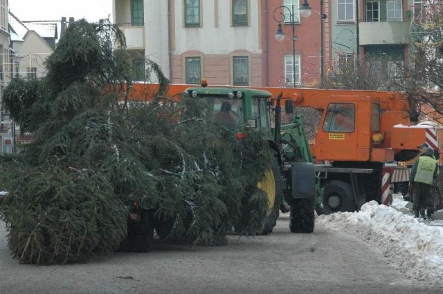 Na Rynku w Głogowie za kilka dni stanie choinka, tym razem w centralnym punkcie. Ta w ubiegłym roku stała w "kącie"