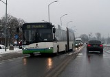 Zmiana numeracji na liniach autobusowych w Szczecinie. Od nowego roku zniknie linia nr 81!