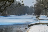 Przed nami silny mróz, potem ocieplenie. Najpierw temperatura spadnie do nawet -15°C. Sprawdź prognozę pogody na pierwszy tydzień lutego