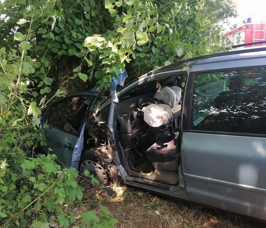 Kierowca osobowego volkswagena uderzył w drzewo na wysokości...