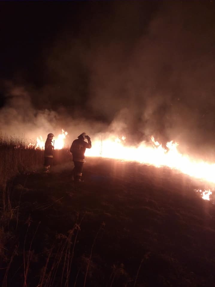 Pożar traw w miejscowości Dratów (powiat łęczyński). W ciągu...