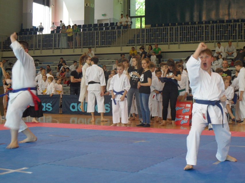 Bytom: Silesia Cup 2016 karate w Hali na Skarpie