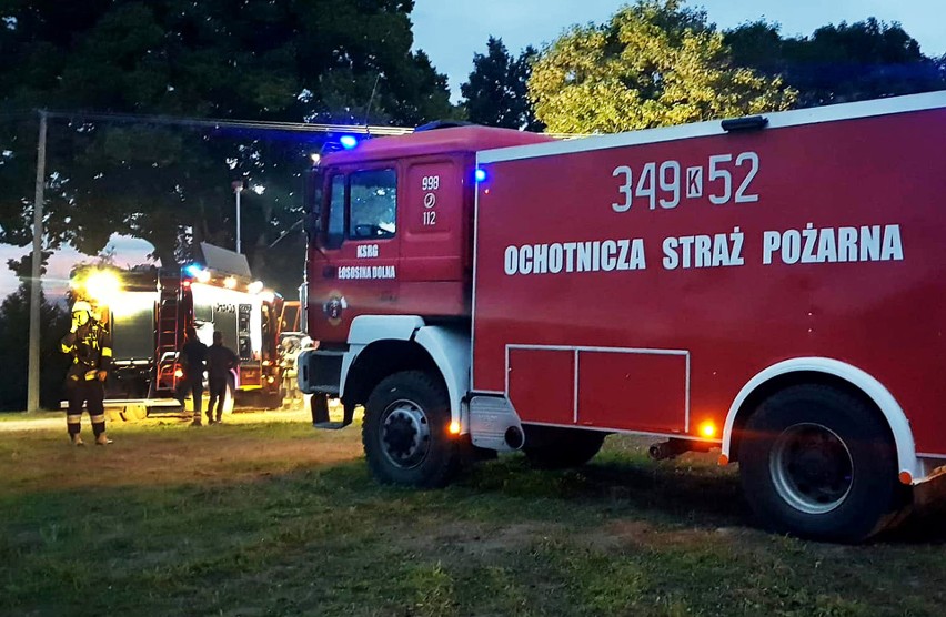 Ogniowe larum nad Jeziorem Rożnowskim. Do pożaru w Bilsku ruszyło 5 zastępów straży
