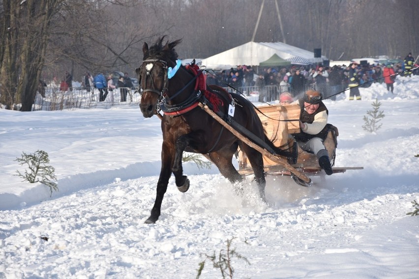 Parada Gazdowska 2019 - Biały Dunajec