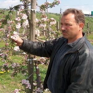 - Mimo że na drzewkach jest pełno kwiatów, większość z nich nie przetrwała przymrozków - tłumaczy Jan Wykowski