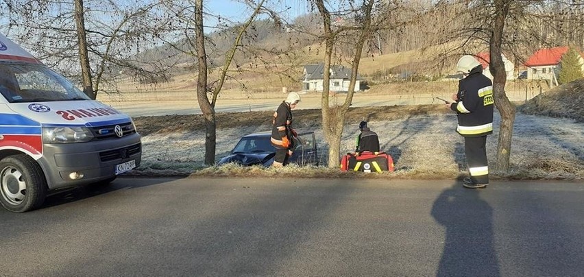 Ujanowice. Samochód w rowie. Strażacy w akcji