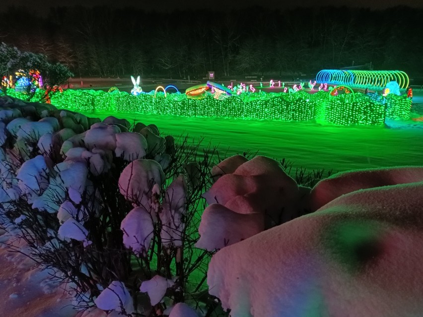 Świetlny labirynt w Parku Miliona Świateł.