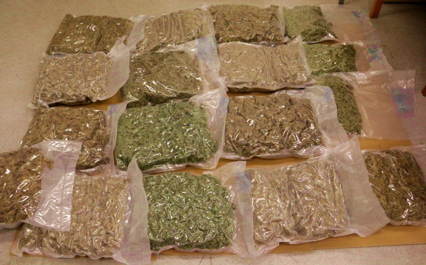 Kryminalni z Koszalina zabezpieczyli 15 kilogramów marihuany o wartości ponad pół miliona złotych
