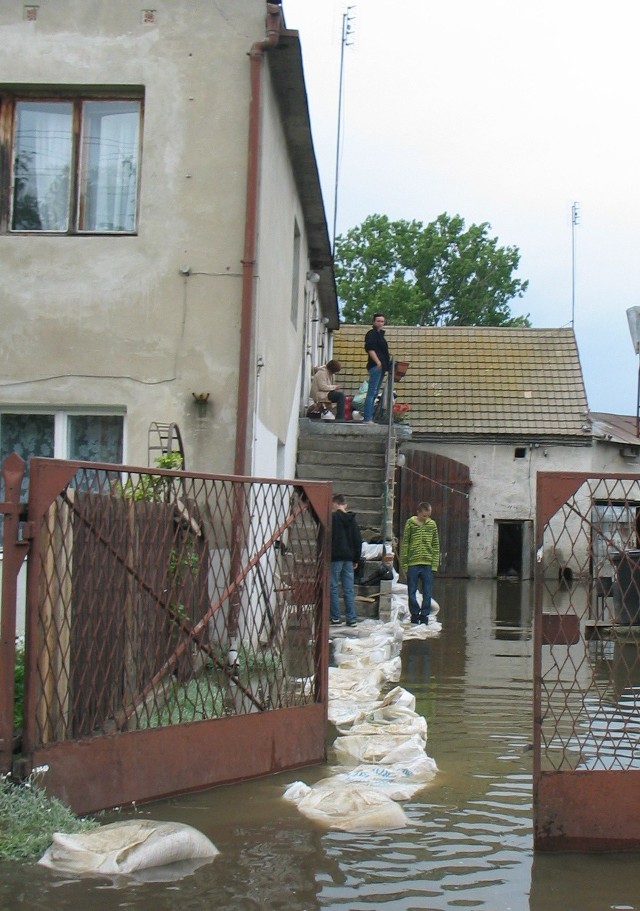 W dniach powodzi na podwórkach domów przy ul. Osadników w Krzepowie niemal wszystko pływało.