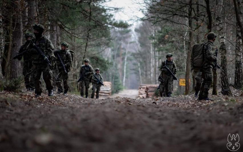 Terytorialsi z Warszawy przeszli szkolenie. Jak wyglądają przygotowania wojskowe w Polsce?