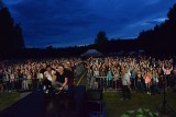 Antek Smykiewicz i Feel na Dniach Łaz 2017 [ZDJĘCIA]