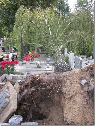 Zdjęcie z cmentarza w Kaźmierzu