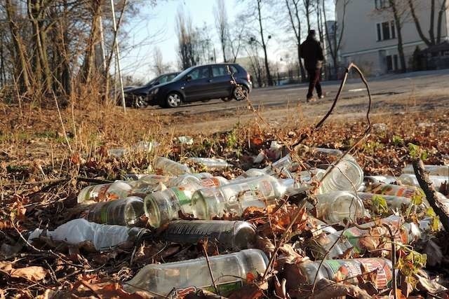 Otaczające Toruń lasy toną w śmieciach. Odpady na ogół wyrzucają mieszkańcy miasta 