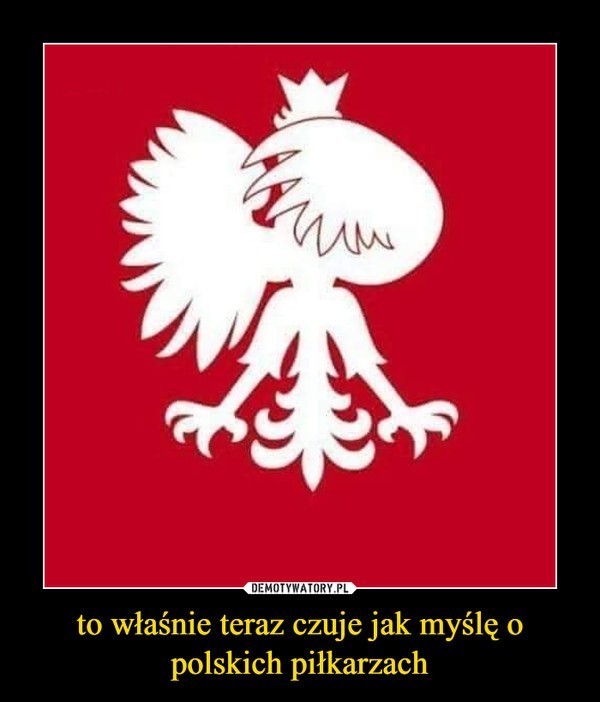 Mecz Polska - Japonia. Memy, które powstają na nasze starcie...