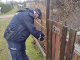 Policja w ogrodach działkowych w Szczecinku. Znamy cel wizyty