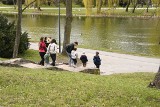 W niedzielę 11 kwietnia kielczanie spacerowali w Parku Miejskim i nad zalewem. Zobaczcie zdjęcia i film