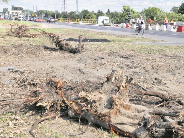 Drzewa wycięto pod inwestycje drogowe.
