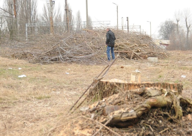 Drzewa i chaszcze, które rosły przy zbiegu ulic Beliny-Prażmowskiego i Juliusza Słowackiego, zostały już wycięte.