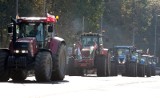 Rolnicy blokują drogi w Wielkopolsce. Protestują przeciwko "piątce dla zwierząt" [7.10.20]