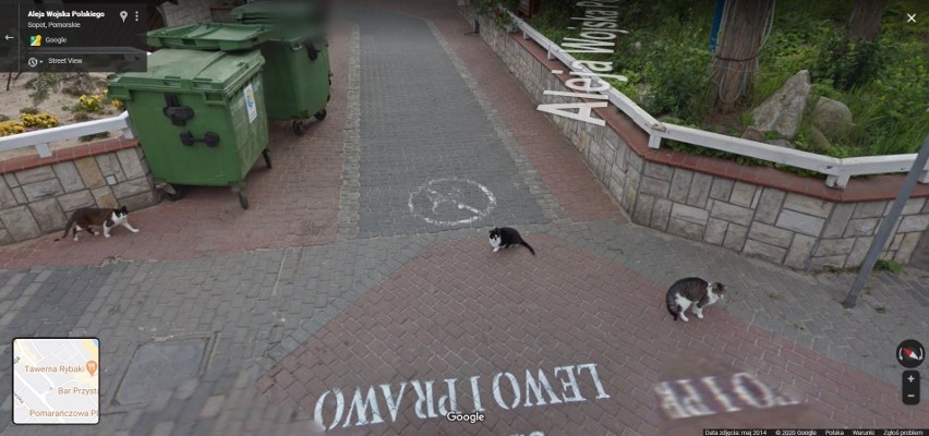 Przyłapani na gorącym uczynku przez Google Street View na Pomorzu! Kamera zobaczyła ciut za wiele...