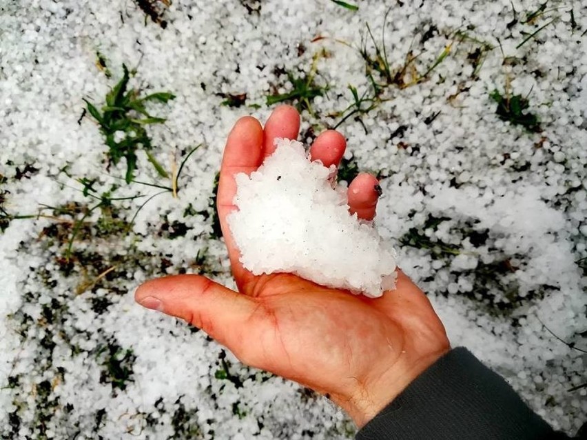 Pogoda na Pomorzu. Silne gradobicie na Mierzei Wiślanej. W kilka chwil zrobiło się biało [ZDJĘCIA] 