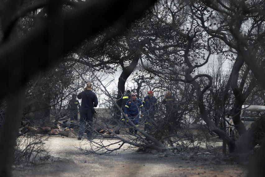 Pożary w Grecji. Jest ponad 60 ofiar śmiertelnych, w tym dwie osoby z Małopolski