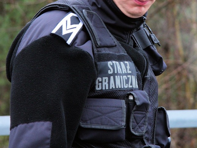 11 Gruzinów zostało zatrzymanych podczas próby przekroczenia granicy.