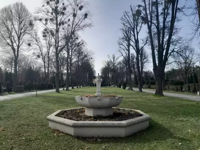 Cmentarz Centralny w Gliwicach - nekropolia wygląda jak park.