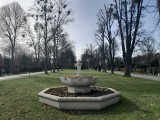 Cmentarz Centralny w Gliwicach zaprasza… na spacer. Nekropolia nieprzypadkowo wygląda jak park. Zobacz ZDJĘCIA