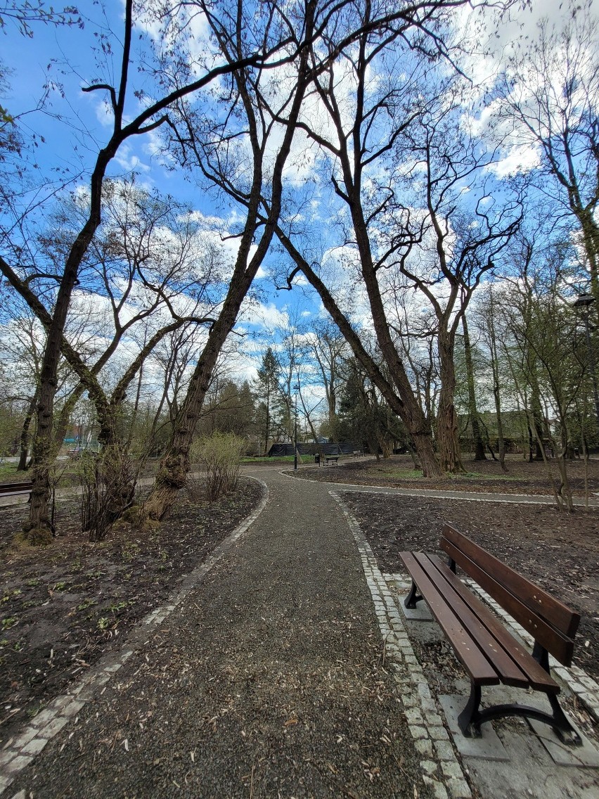 Kraków. Okolica fortu zmienia się w prawdziwy park ZDJĘCIA