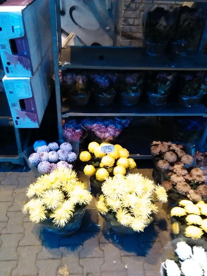 Wszystkich Świętych we Wrocławiu. Sprawdź, ceny kwiatów sprzedawanych przy cmentarzach (ZDJĘCIA)