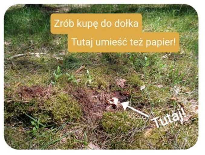 Jak zrobić kupę w lesie? Po prostu ekologicznie. Zobacz...