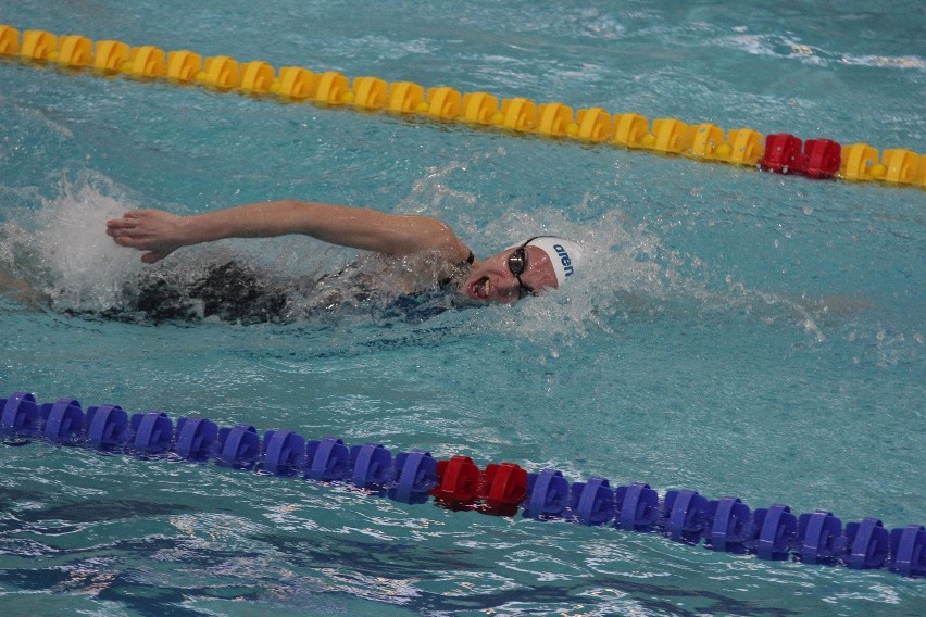 Termy Maltańskie: POZnan International Swimming Cup 2016