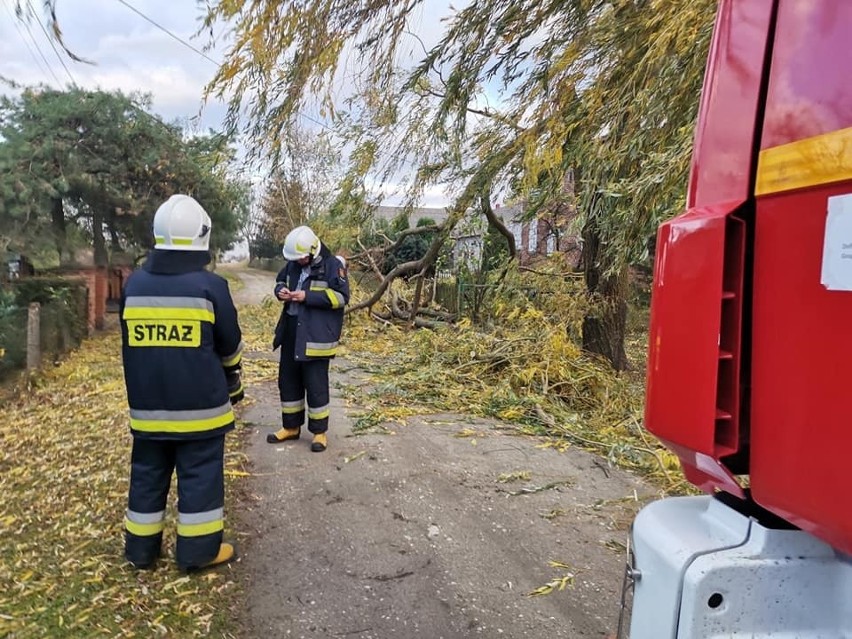 Strażacy z Ochotniczej Straży Pożarnej w Dębowej Łące w...