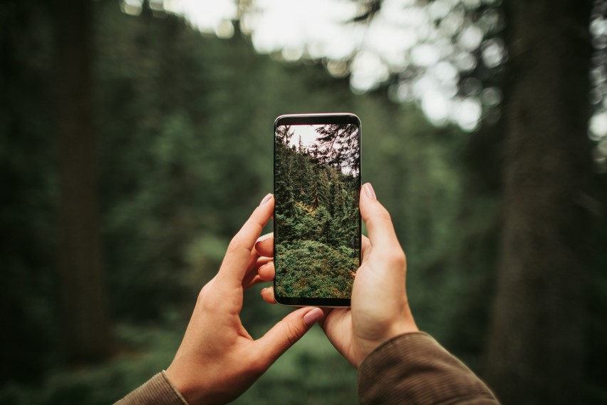 Obecnie technologia ułatwia nam kontakt ze światem. W lesie...