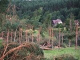 Rozszerza się Regionalny System Ostrzegania o trąbach powietrznych, upałach, powodziach i korkach