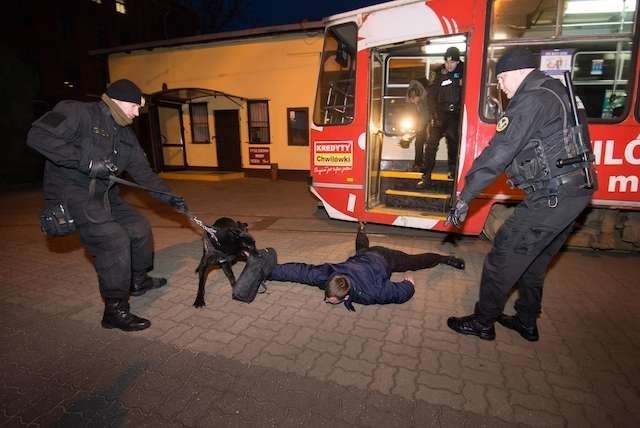 To tylko szkolenie strażników miejskich z Torunia i Bydgoszczy, ale agresywnych pasażerów na trasach MZK niestety nie brakuje