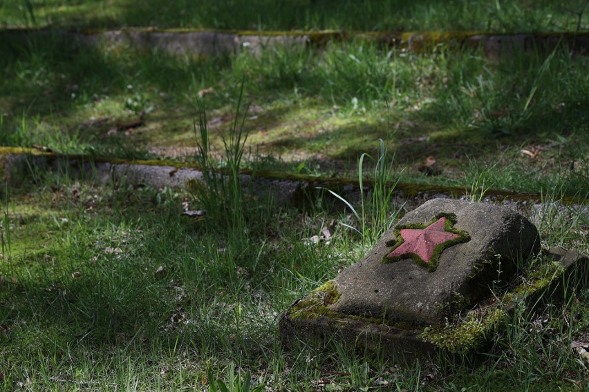 Kraków. Mało znany cmentarz ukryty w Lesie Borkowskim. Tu spoczywają jeńcy radzieccy