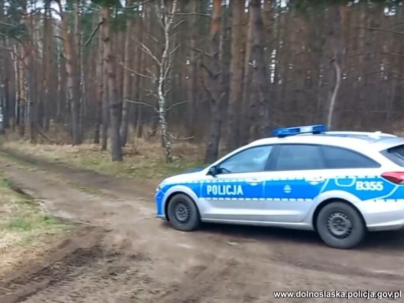 W lesie znajdowało się ponad 1000 min i 32 bomby, każda o...