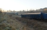 Strabla: Wykolejenie pociągu towarowego (zdjęcia)