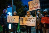 Zakopane. Pół tysiąca osób protestowało przeciw zaostrzeniu przepisów prawa aborcyjnego