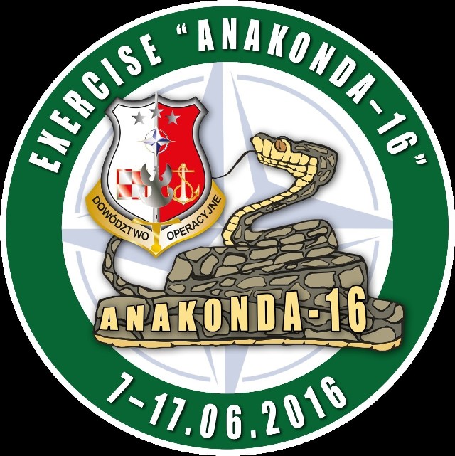 W ramach Anakondy 2016 2 tysiące żołnierzy wyląduje na spadochronach w okolicach Kijewa