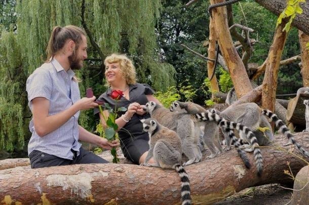 Planujesz oświadczymy. Warszawski ogród zoologiczny wpadł na oryginalny pomysł. Zamierza wprowadzić usługę - zaręczyny w Zoo.