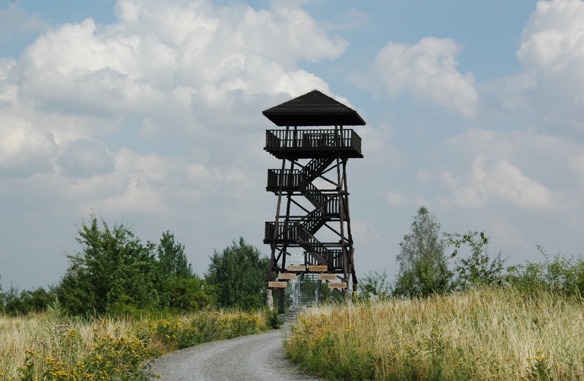 Prudnik bez turystycznej atrakcji. Wieża widokowa z 2009 roku była kompletnie przegnita!