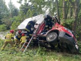Tragiczny wypadek w Przybrodzinie w powiecie słupeckim. Nie żyje młody kierowca busa [ZDJĘCIA]