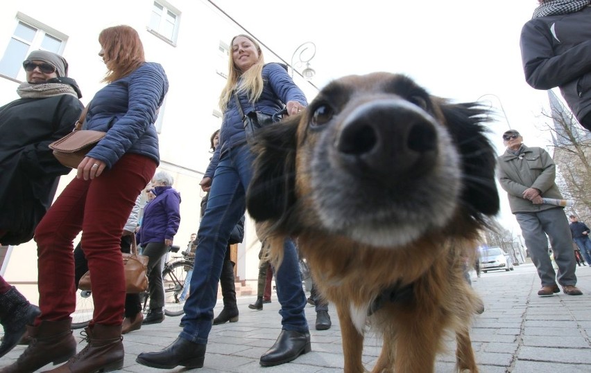 Manifestacja w Kielcach w obronie praw kobiet 