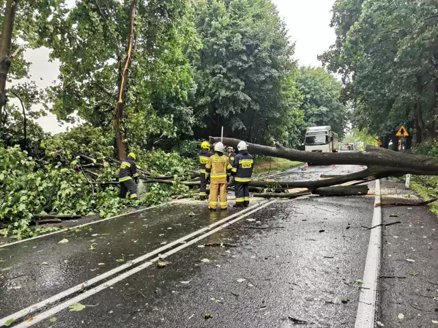 Powalone drzewa, pozrywane dachówki, podtopione piwnice i ulice, to skutki burzy jaka w środę 15 lipca 2021 r. rozpętała się nad powiatem oświęcimskim.