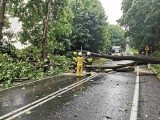 Powiat oświęcimski. Powalone drzewa, pozrywane dachówki, zalane piwnice i drogi. To była niespokojna noc [RAPORT burzowy 14 i 15.07.2021r.]